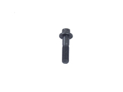 BMW Engine Timing Chain Guide Bolt - Genuine BMW 11311741808