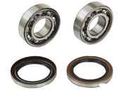 BMW Wheel Bearing Kit - SKF 33411108408