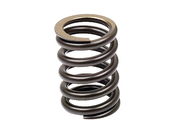 Mercedes Valve Spring - Genuine Mercedes 1030530020
