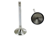Mercedes Intake Valve - TRW 1030532101