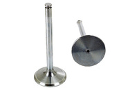 Mercedes Intake Valve - TRW 1170500126