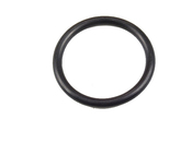 Porsche Fuel Pump O-Ring - Reinz 407609200