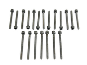 Audi VW Cylinder Head Bolt Set - Reinz 022198384A