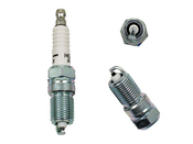 Jaguar Spark Plug - NGK TR55