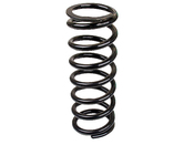 Jaguar Coil Spring - Eurospare JLM11569 