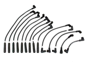 Jaguar Spark Plug Wire Set - Eurospare JLM011016