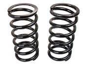 Jaguar Coil Spring - Eurospare JLM011382