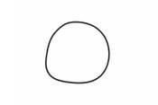 Porsche Engine Oil Pump Seal - Reinz 407640600