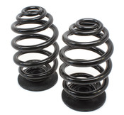 BMW Coil Spring Set - Genuine BMW 33539065364