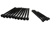 BMW Cylinder Head Bolt Set - Reinz 11127548799