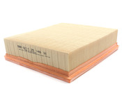Land Rover Air Filter - Mann C25146