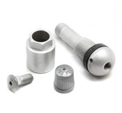 BMW TPMS Valve Stem (Silver, 43mm Length) - Genuine BMW 36146792829