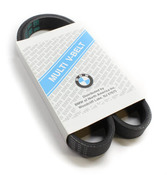 BMW A/C Drive Belt - Genuine BMW 11281437450