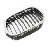 BMW Kidney Grille - Genuine BMW 51132497261