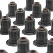 BMW Valve Stem Seal Set - Genuine BMW 11340032582