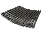 BMW Cylinder Head Bolt Set - Genuine BMW 11121740065