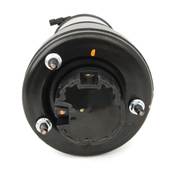 Mercedes Airmatic Shock Assembly - Arnott Industries 2113209513