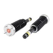 Jaguar Air Spring to Coil Spring Conversion Kit - Arnott Industries ARN-C2745