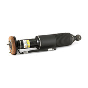 Mercedes Shock Absorber (SL600 SL550) - Arnott Industries ARN-SK2470