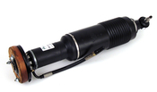 Mercedes Shock Absorber (SL55 AMG SL65 AMG SL63 AMG) - Arnott Industries ARN-SK2483