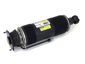 Mercedes Shock Absorber (SL55 AMG SL65 AMG SL63 AMG) - Arnott Industries ARN-SK2484