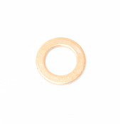 BMW Gasket Ring - Genuine BMW 07119963044