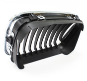 BMW Kidney Grille - Genuine BMW 51138208488