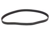 BMW Accessory Belt - Genuine BMW 11281704719