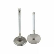 BMW Intake Valve - Genuine BMW 11341438385