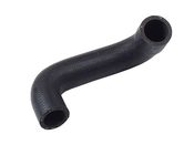 BMW Hose (M3) - Genuine BMW 11531309667
