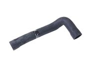 BMW Water Hose (525i) - Genuine BMW 11531722852
