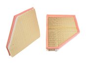 BMW Air Filter - Genuine BMW 13717548898