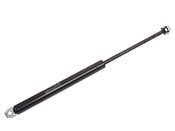 BMW Deck Lid Lift Support - Genuine BMW 51248110327