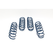 BMW Coil Spring Lowering Kit (F10 550i) - Dinan D100-0902