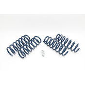 BMW Coil Spring Lowering Kit (E70 E71 X5M X6M) - Dinan D100-0915