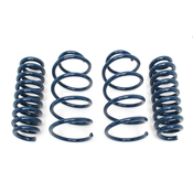BMW Coil Spring Lowering Kit (E90 M3) - Dinan D100-0919