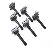 Audi VW Ignition Coil Kit -  Beru 058905105KT