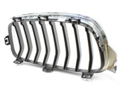 BMW Kidney Grille - Genuine BMW 51137260497