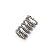 BMW Valve Spring - Genuine BMW 11341706583