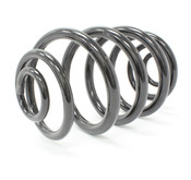 BMW Coil Spring Rear (E36) - Lesjofors 4208403