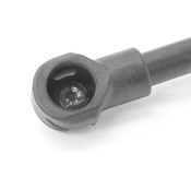 Volvo Trunk Lid Lift Support (S40) - Genuine Volvo 30852059OE