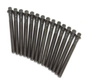 BMW Cylinder Head Bolt Set - Reinz 11121740065