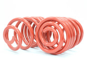 BMW Race Lowering Spring Set - H&R 50412-88