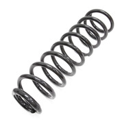 Mercedes Coil Spring - Genuine Mercedes 2113211504