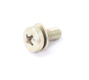 BMW Fillister Head Screw - Genuine BMW 07119906816