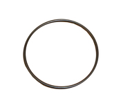 Mercedes Automatic Transmission Pump Seal - CRP 0169973748
