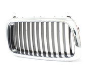 BMW Kidney Grille - Genuine BMW 51138172280