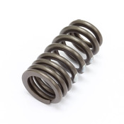 BMW Engine Valve Spring - Genuine BMW 11347837681
