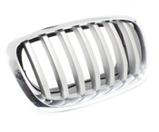 BMW Grille Front Right (Titan 2) - Genuine BMW 51137307600