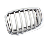 BMW Grille Front Left (Titan 2) - Genuine BMW 51137307599